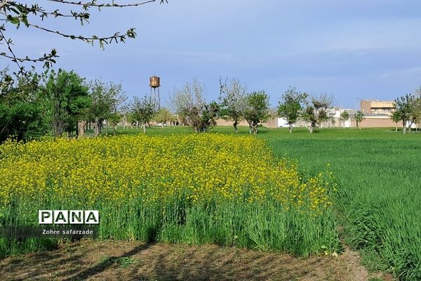 طبیعت زیبای روستای باغِ آسیا در شهرستان گناباد