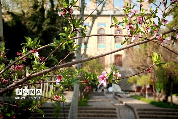 باغ موزه نگارستان تهران، باغی دلچسب به بلندای تاریخ