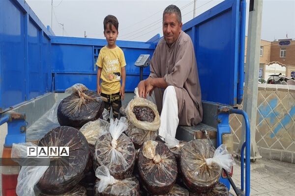 تالاب بین المللی شادگان پذیرای میهمانان نوروزی