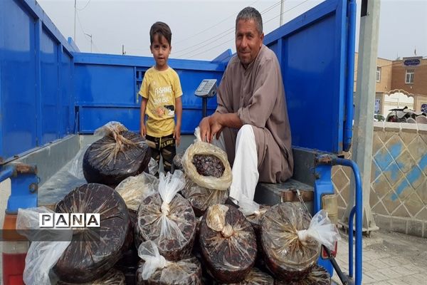تالاب بین المللی شادگان پذیرای میهمانان نوروزی
