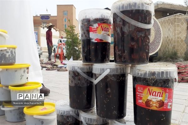 تالاب بین المللی شادگان پذیرای میهمانان نوروزی