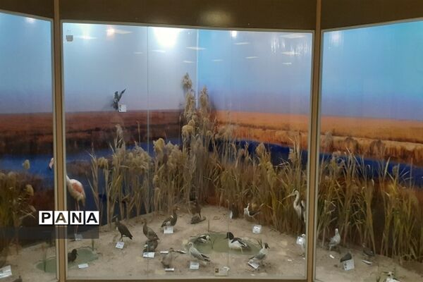 تالاب بین المللی شادگان پذیرای میهمانان نوروزی