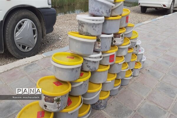 تالاب بین المللی شادگان پذیرای میهمانان نوروزی