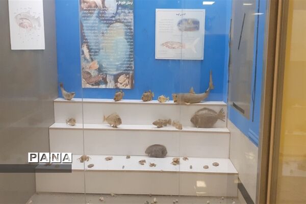 تالاب بین المللی شادگان پذیرای میهمانان نوروزی