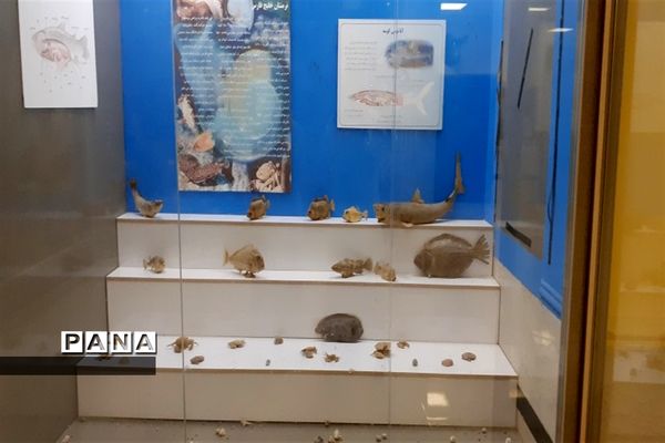 تالاب بین المللی شادگان پذیرای میهمانان نوروزی