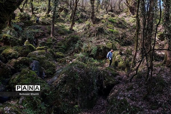 آبشار چلندر