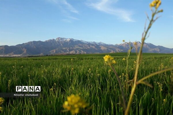 سفری به استان کرمانشاه، دیار مردمان پاک سرشت