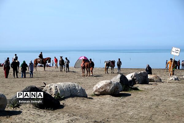 سواحل مازندران