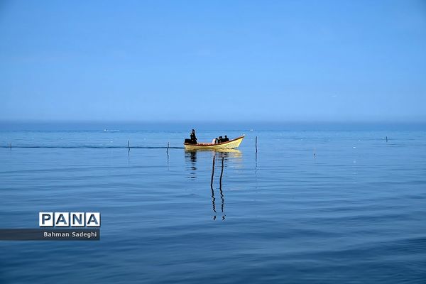 سواحل مازندران