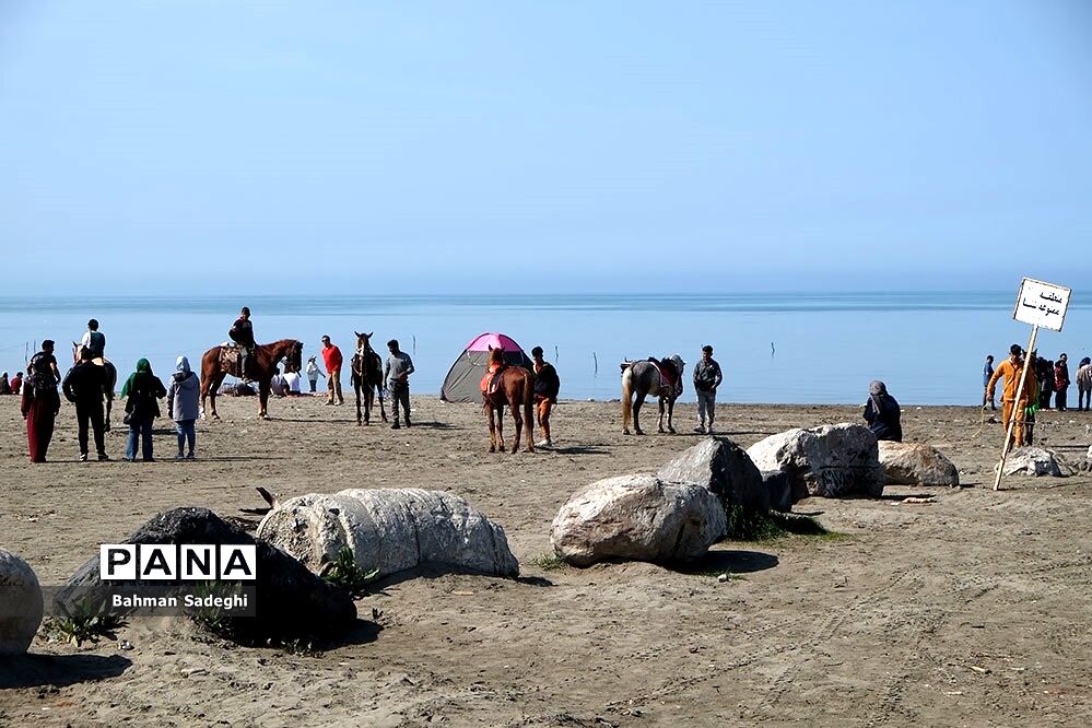 سواحل مازندران