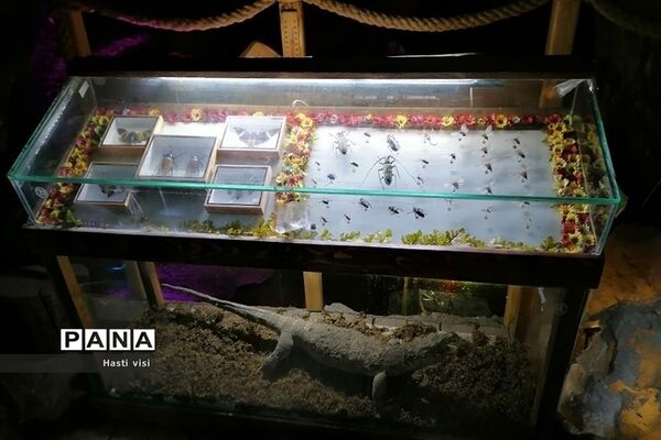 موزه تاریخ طبیعی دانشگاه بوعلی سینا در استان همدان