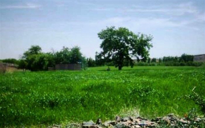 طبیعت بکر روستای جِمِزقان قم