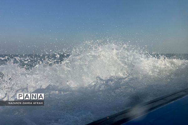 جزیره قشم، بزرگترین جزیره ایران