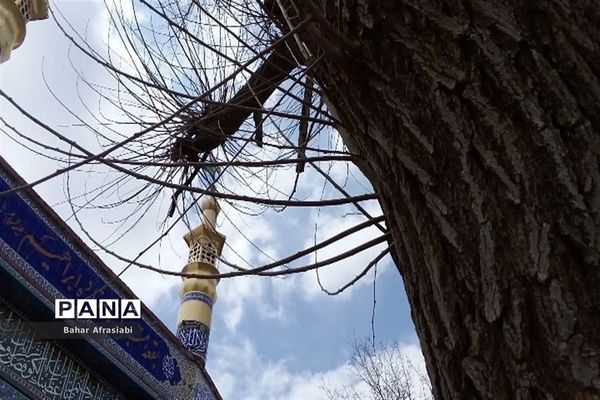 بقعه متبرک امامزاده شاهزاده ابراهیم در استان لرستان