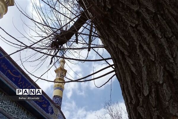 بقعه متبرک امامزاده شاهزاده ابراهیم در استان لرستان