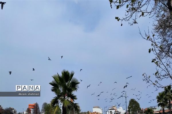 بهار در لاهیجان