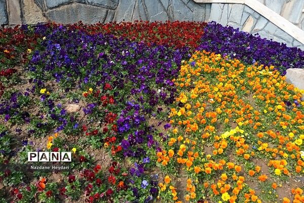پل طبیعت، جاذبه گردشگری تهران