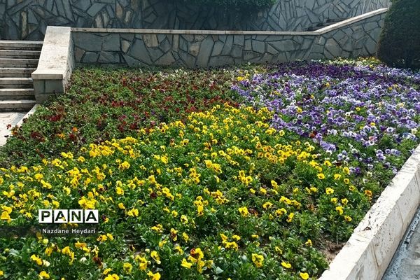 پل طبیعت، جاذبه گردشگری تهران