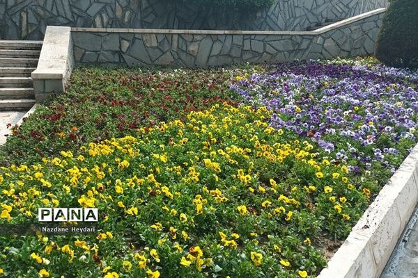 پل طبیعت، جاذبه گردشگری تهران