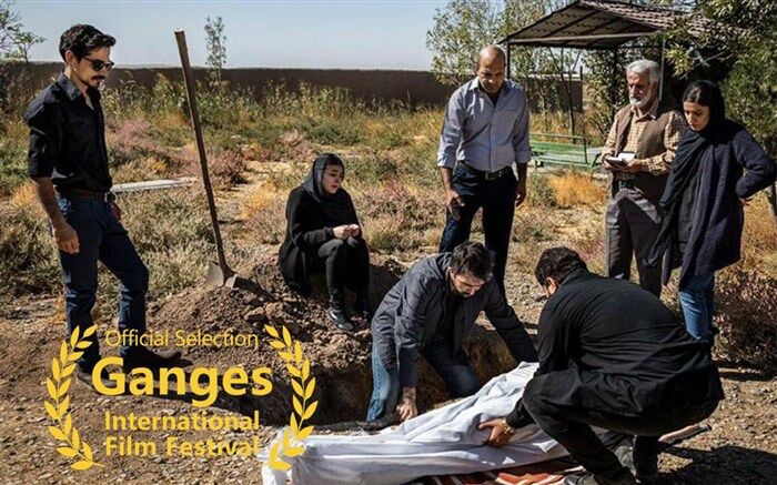 «دندان طلا» به جشنواره هندی راه یافت