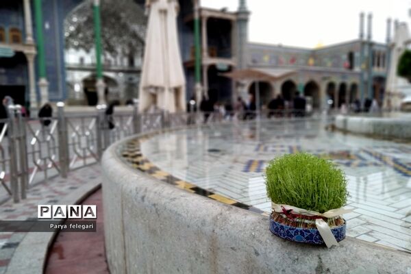 حال و هوای حرم مطهر حضرت معصومه (س)