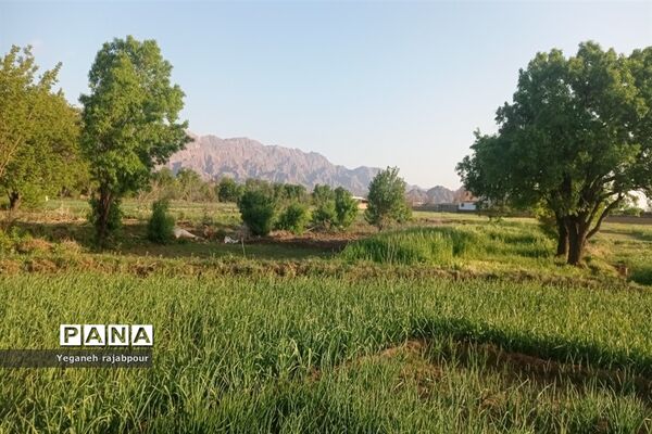 سفری به مشهد مقدس