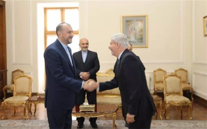 دیدار خداحافظی سفیر برزیل با امیرعبداللهیان