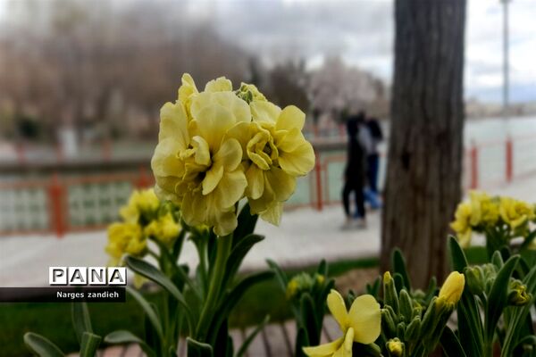 سفری به ملایر در نوروز
