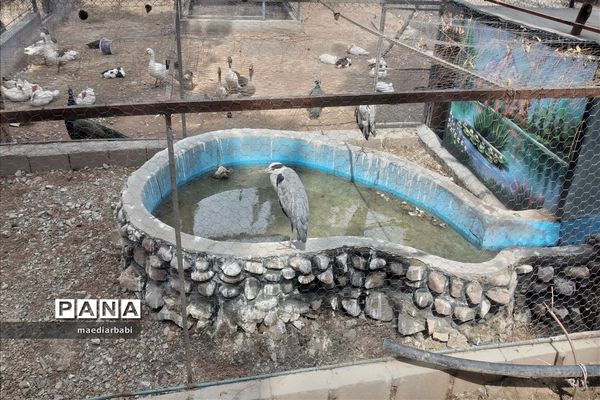باغ پرندگان در تربت حیدریه
