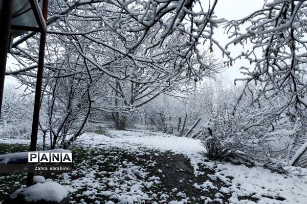 طبیعت بخش عمارلو شهرستان رودبار