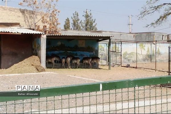 باغ وحش پارک جنگلی و کوهستانی وکیل آباد در استان خراسان رضوی