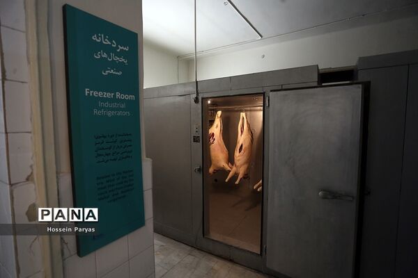 گردشگران نوروزی در مجموعه فرهنگی‌تاریخی سعدآباد