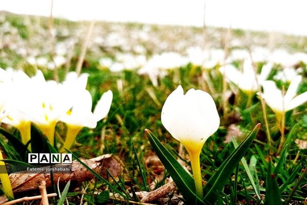روستای خراسانک یکی از جاذبه‌های گردشگری استان آذربایجان شرقی