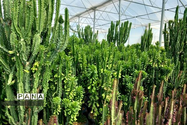 مهد گل‌های زینتی ایران