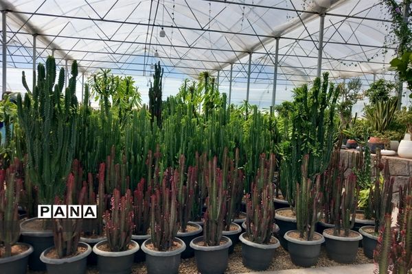 مهد گل‌های زینتی ایران