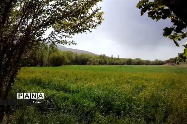 جاذبه های دیدنی شهرستان فریدن
