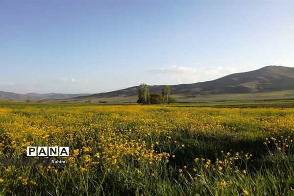 جاذبه های دیدنی شهرستان فریدن