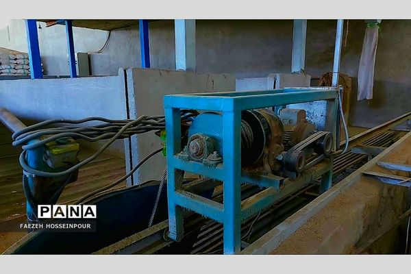 بازدید علمی از کارخانه برنج در شمال ایران