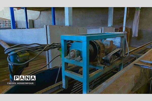 بازدید علمی از کارخانه برنج در شمال ایران