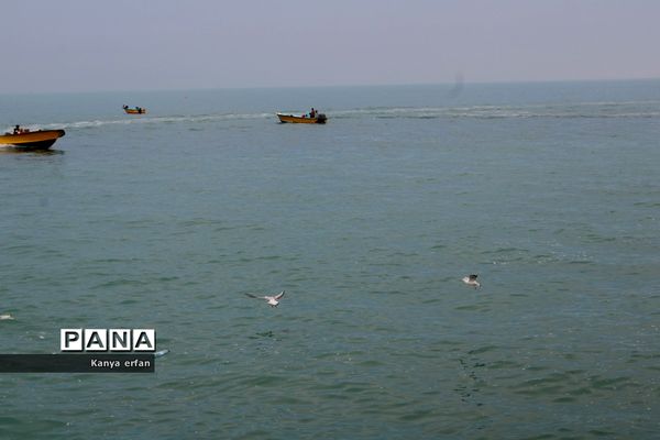 گردشگران نوروزی در ساحل بندر بوشهر