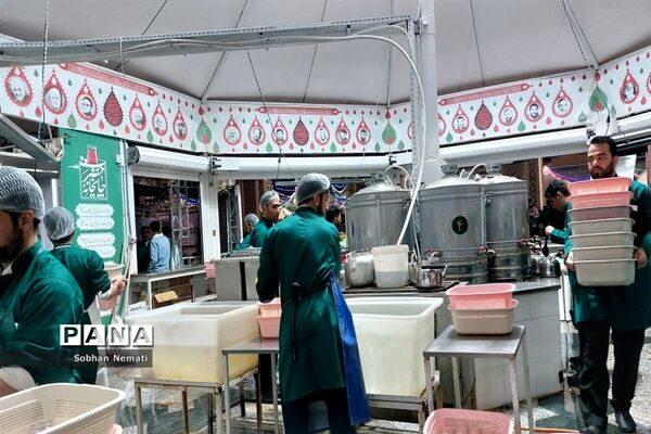 زیارت با صرف چای نبات زیر سایه حضرت