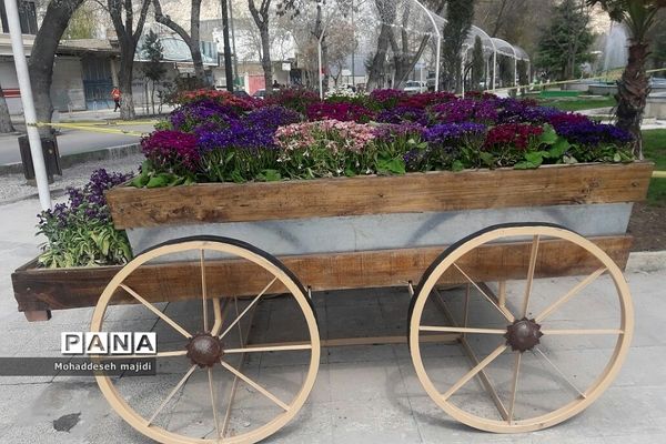 حال و هوای طاقستان کرمانشاه در واپسین روزهای تعطیلات نوروزی