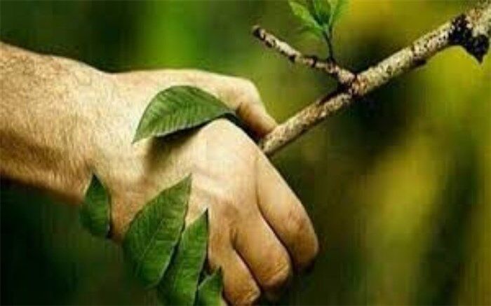 محیط زیست نعمت بی‌کران خداوندی