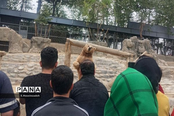 باغ وحش پارک ارم با ۱۱۰ گونه جانوری