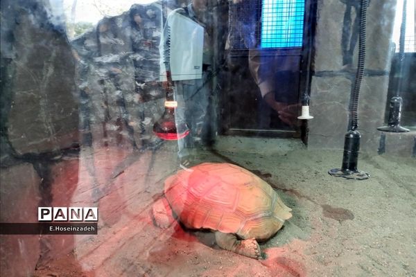 باغ وحش پارک ارم با ۱۱۰ گونه جانوری