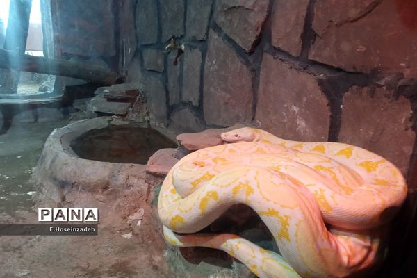 باغ وحش پارک ارم با ۱۱۰ گونه جانوری