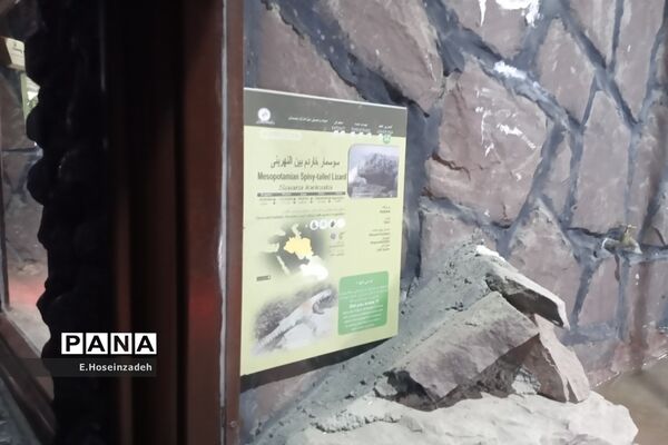 باغ وحش پارک ارم با ۱۱۰ گونه جانوری