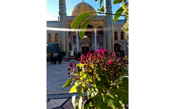 زیارتگاه مشهد اردهال؛ قطعه‌ای از «بهشت» در ایران /فیلم