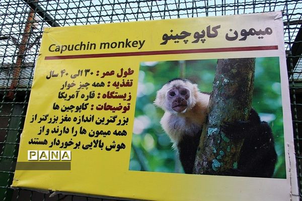 باغ وحش وکیل‌آباد مشهد