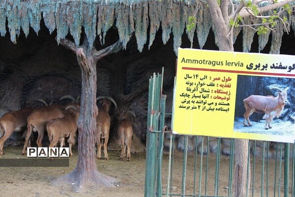 باغ وحش وکیل‌آباد مشهد